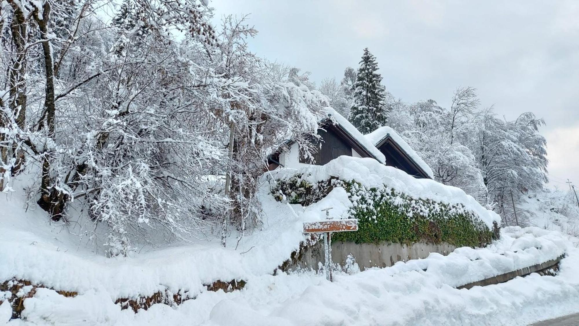 Panoramic House Carnia ,3 badroom chalet Ligosullo - Treppo Carnico - Paluzza - Zoncolan view 3