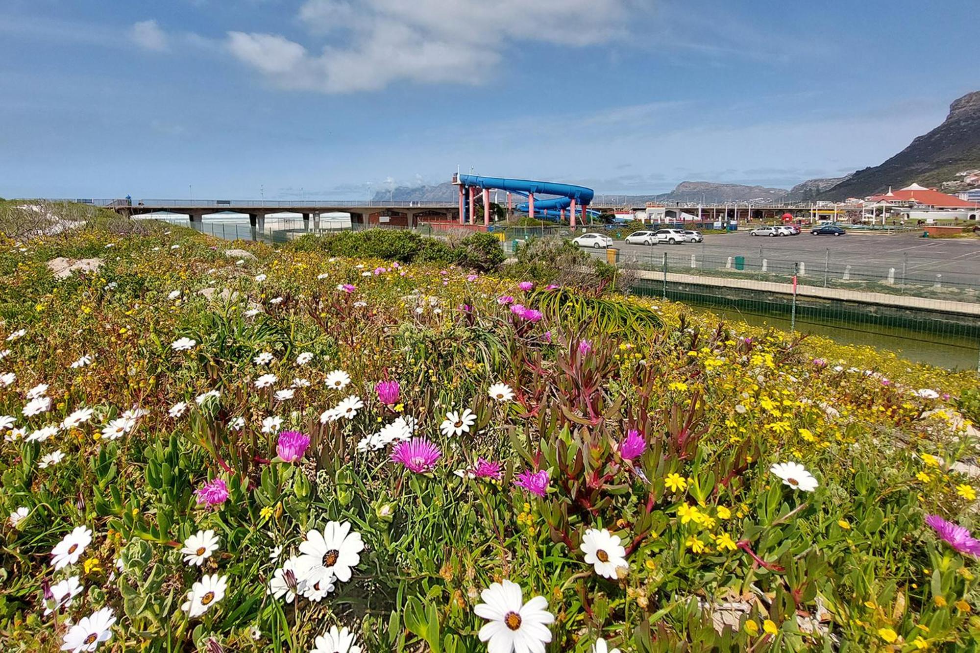 Muizenberg Stay