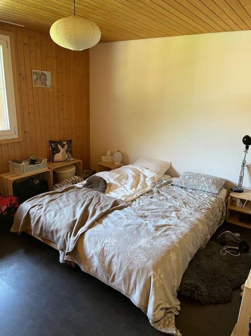 Lovely appartment in Rueras bei Sedrun
