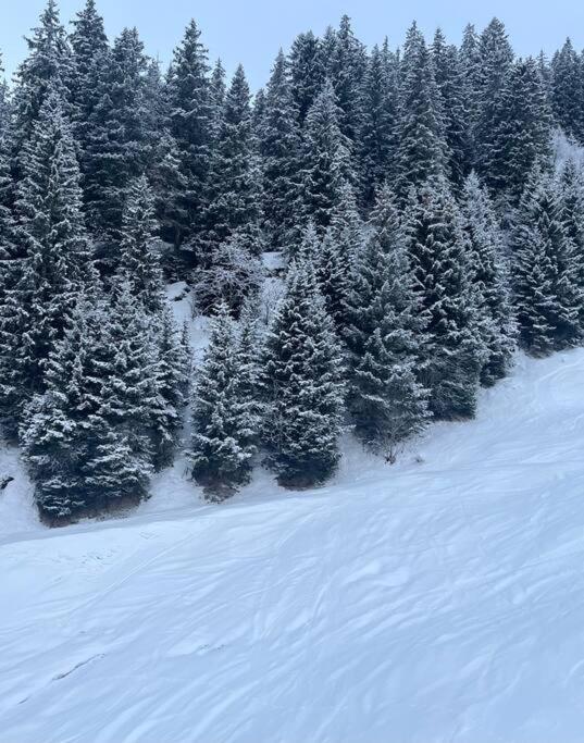 Lovely appartment in Rueras bei Sedrun