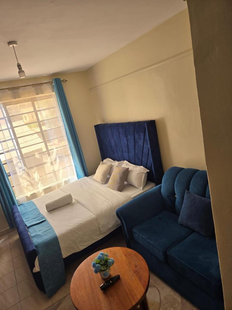 Elegant studio blue stays, photo 5