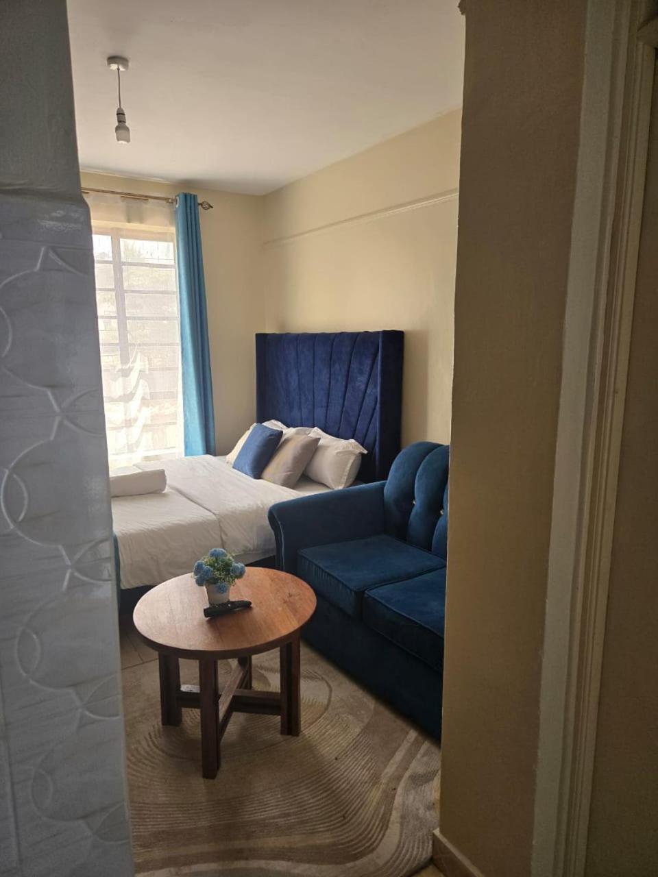 Elegant studio blue stays, photo 4
