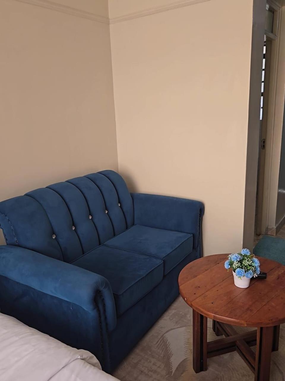 Elegant studio blue stays, photo 3