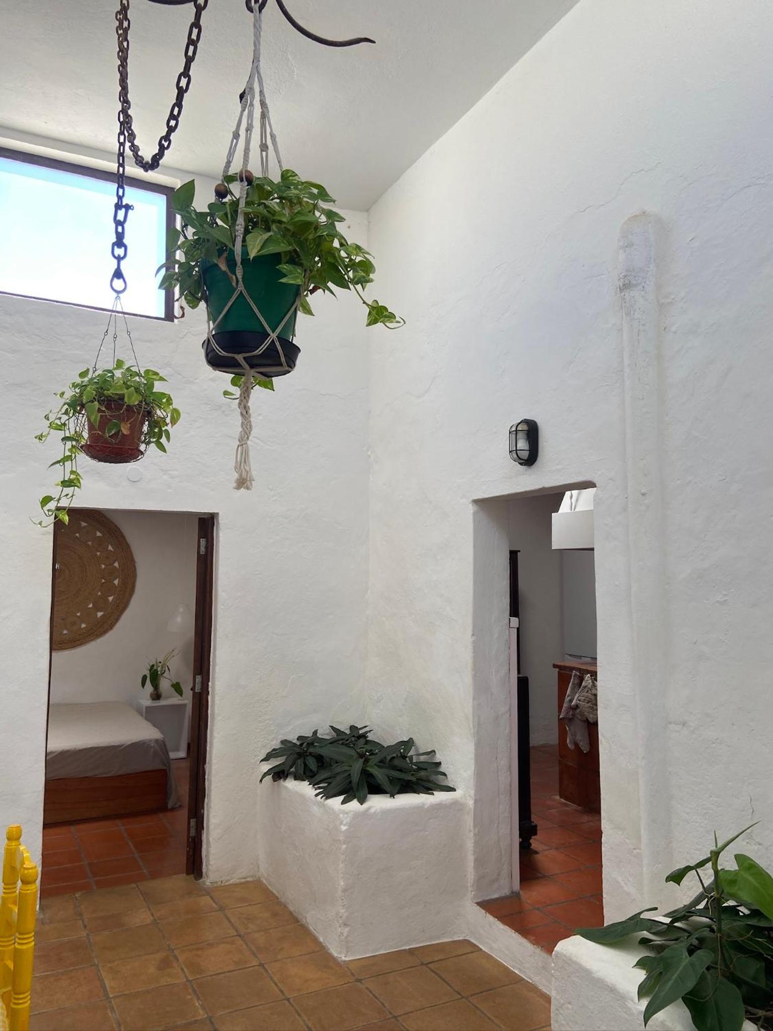 Photo 31
