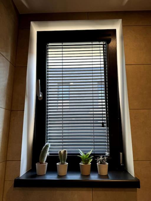 Bierinu apartament IB