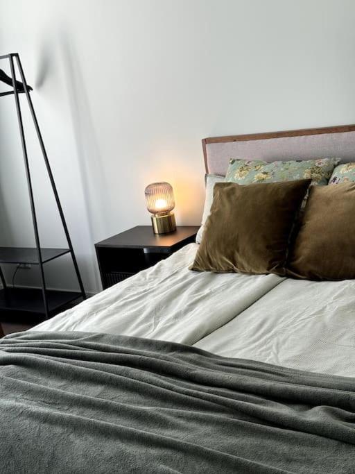Bierinu apartament IB