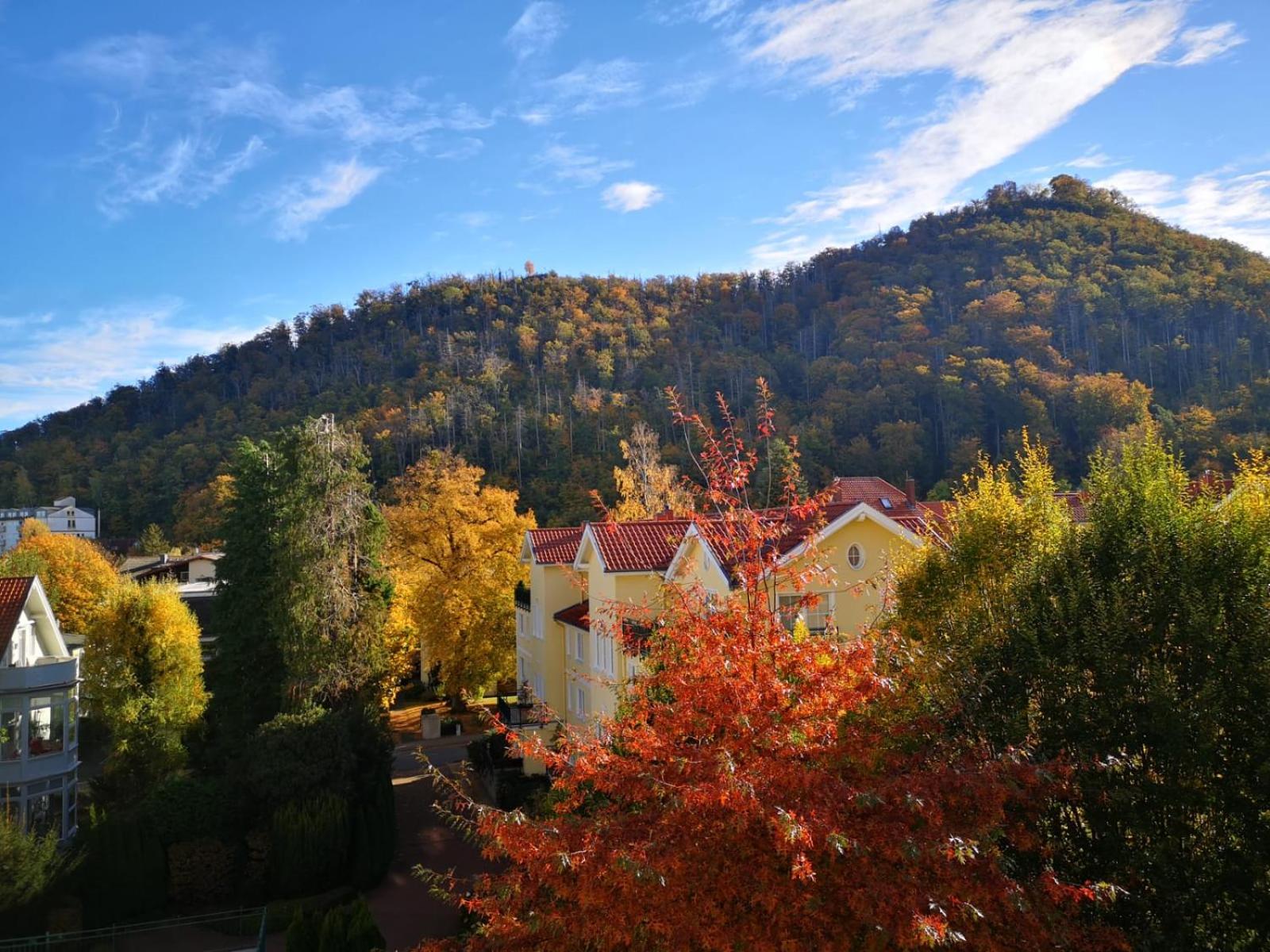 Bergliebe
