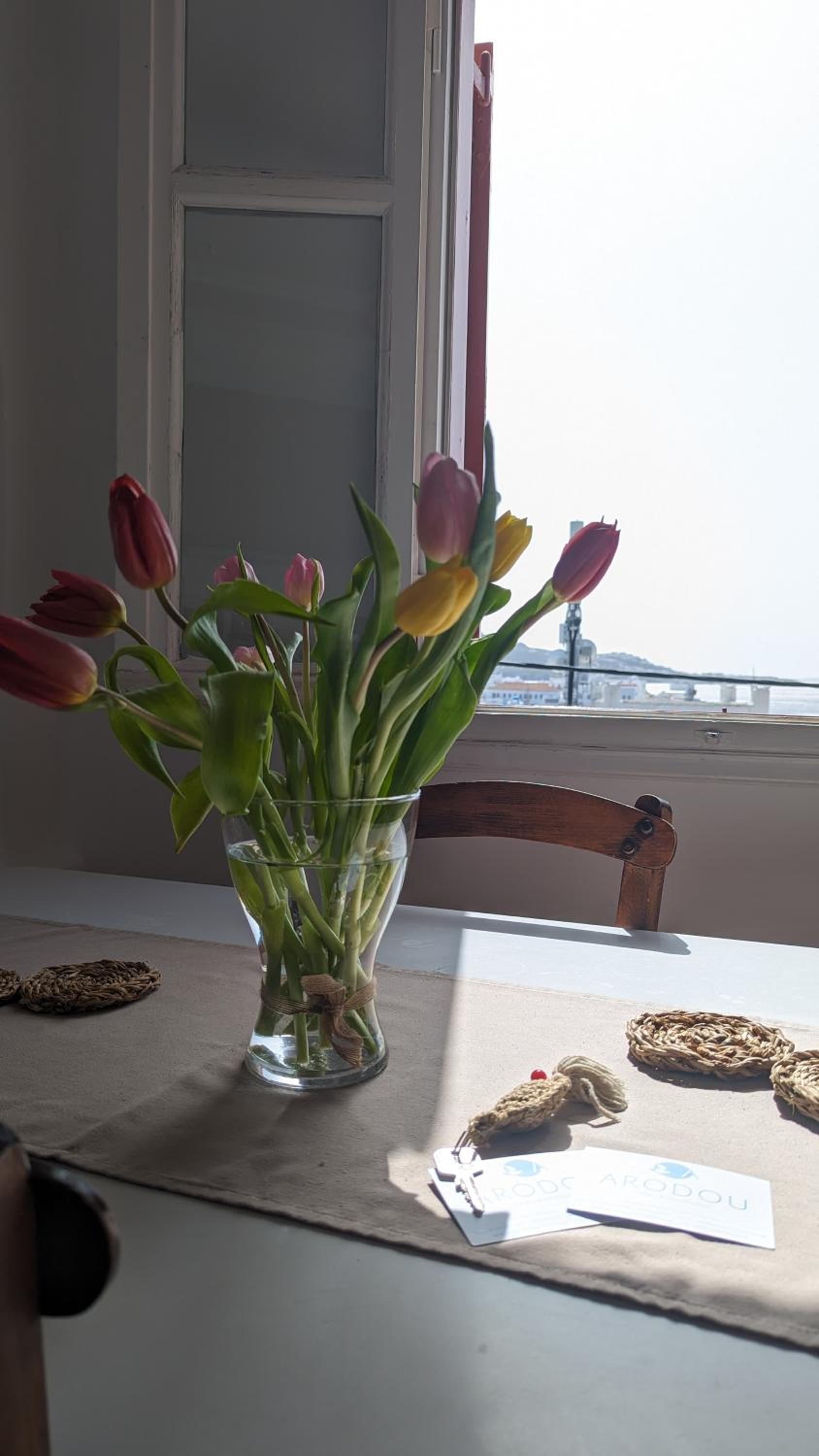 Arodou Studio and Apartment view 5