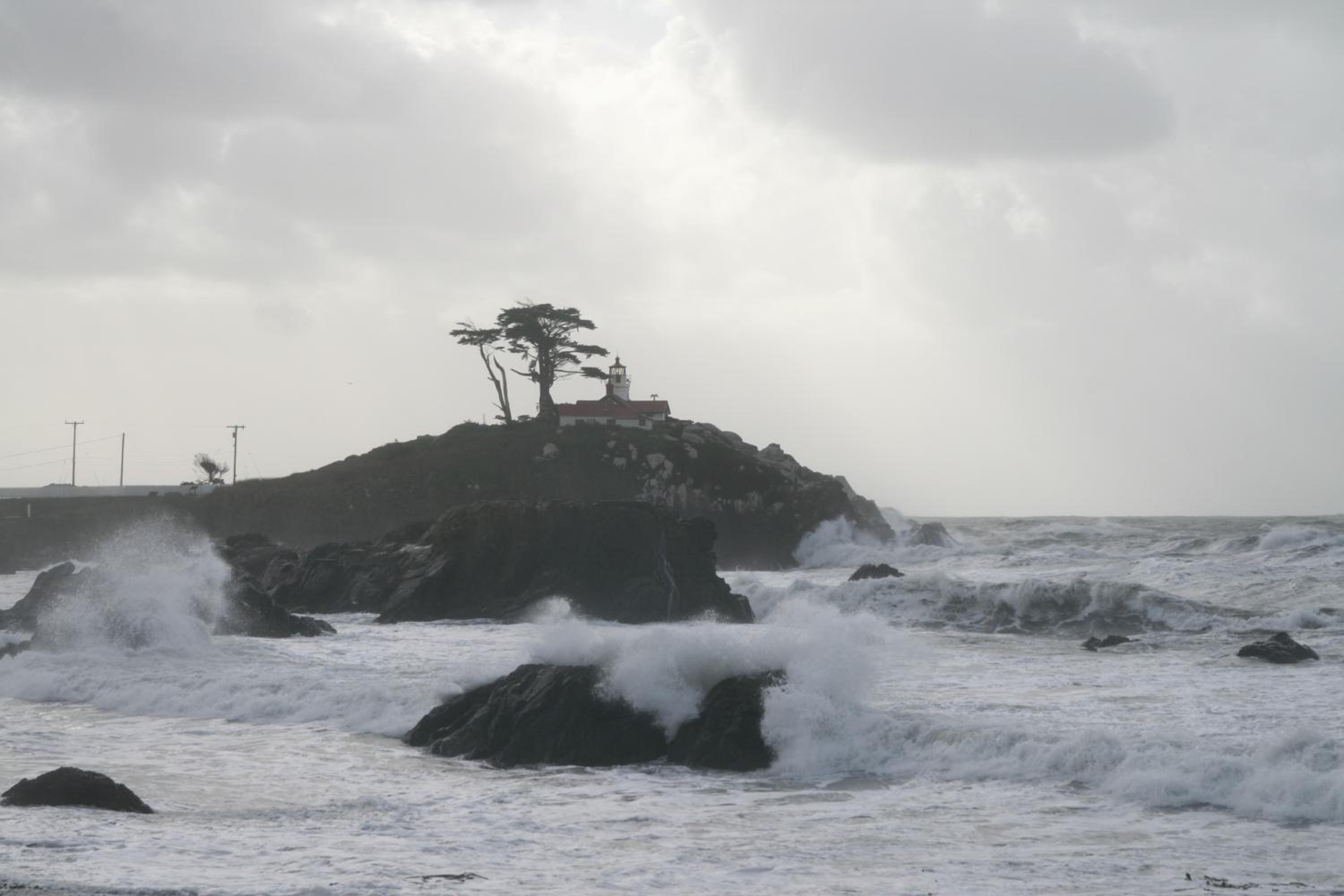Oceanfront Lodge, photo 39