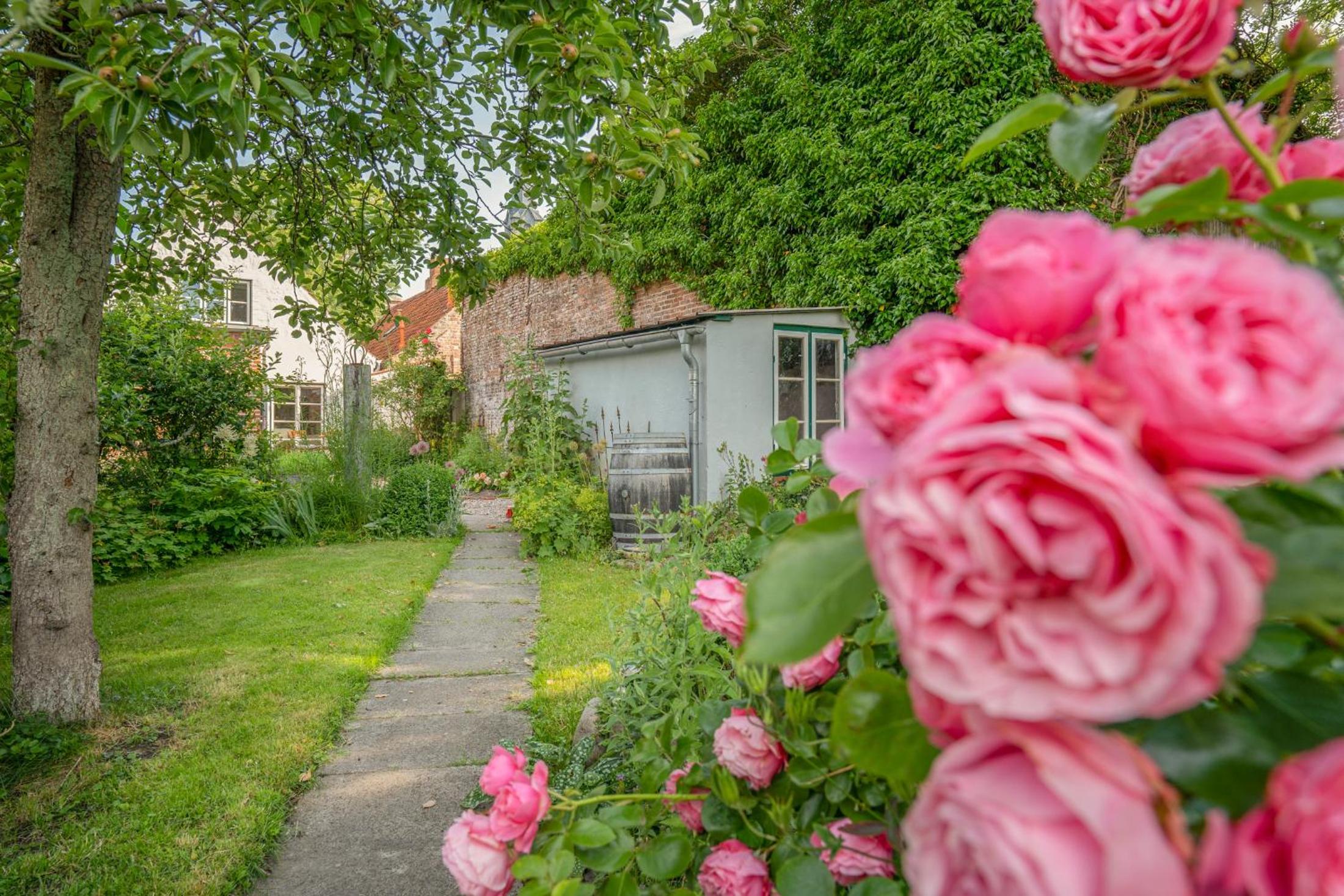 Hus rode Dör