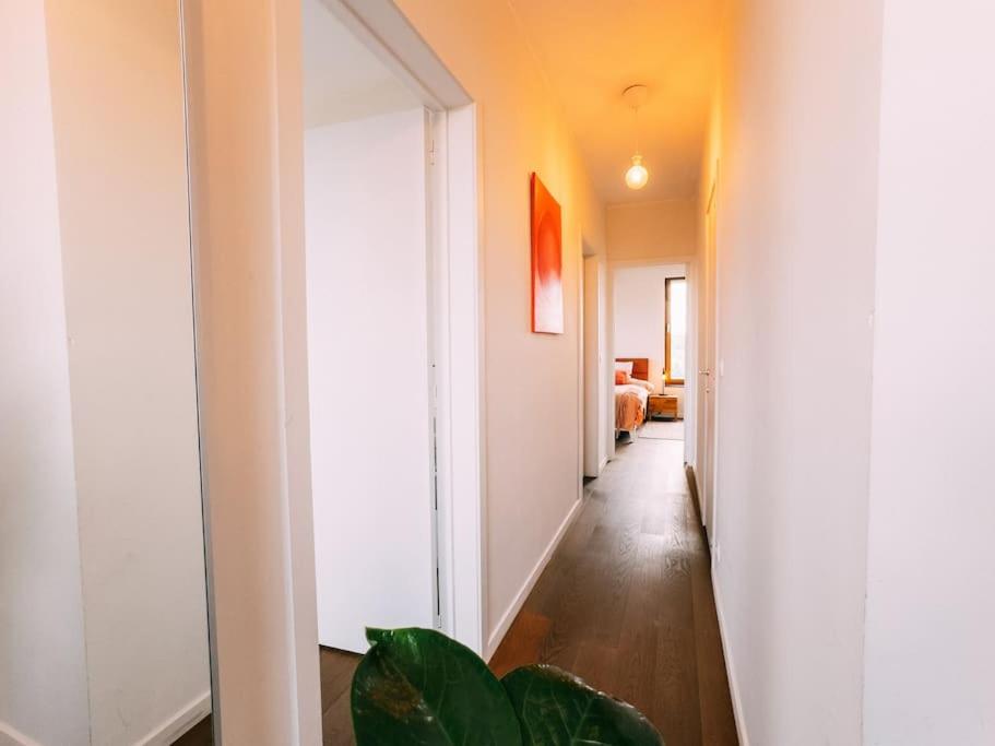Peaceful city center apartment