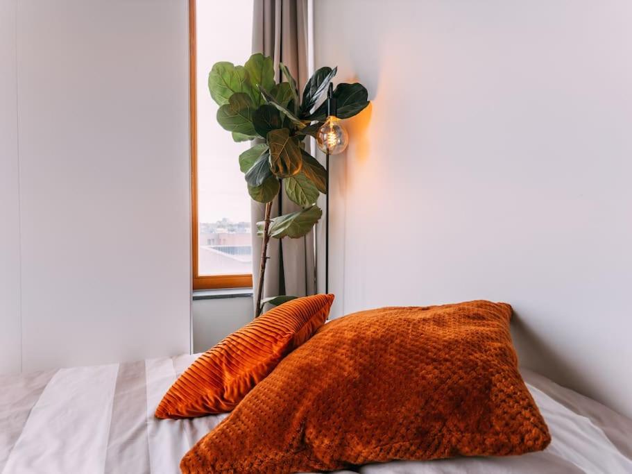 Peaceful city center apartment