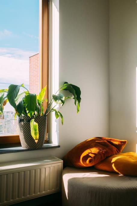 Peaceful city center apartment