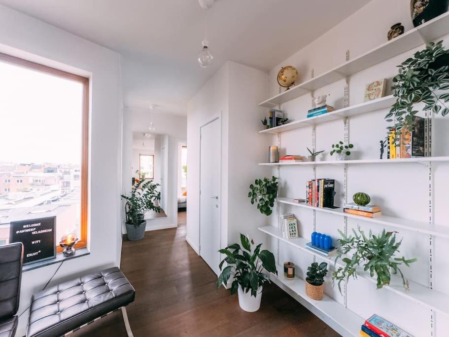 Peaceful city center apartment