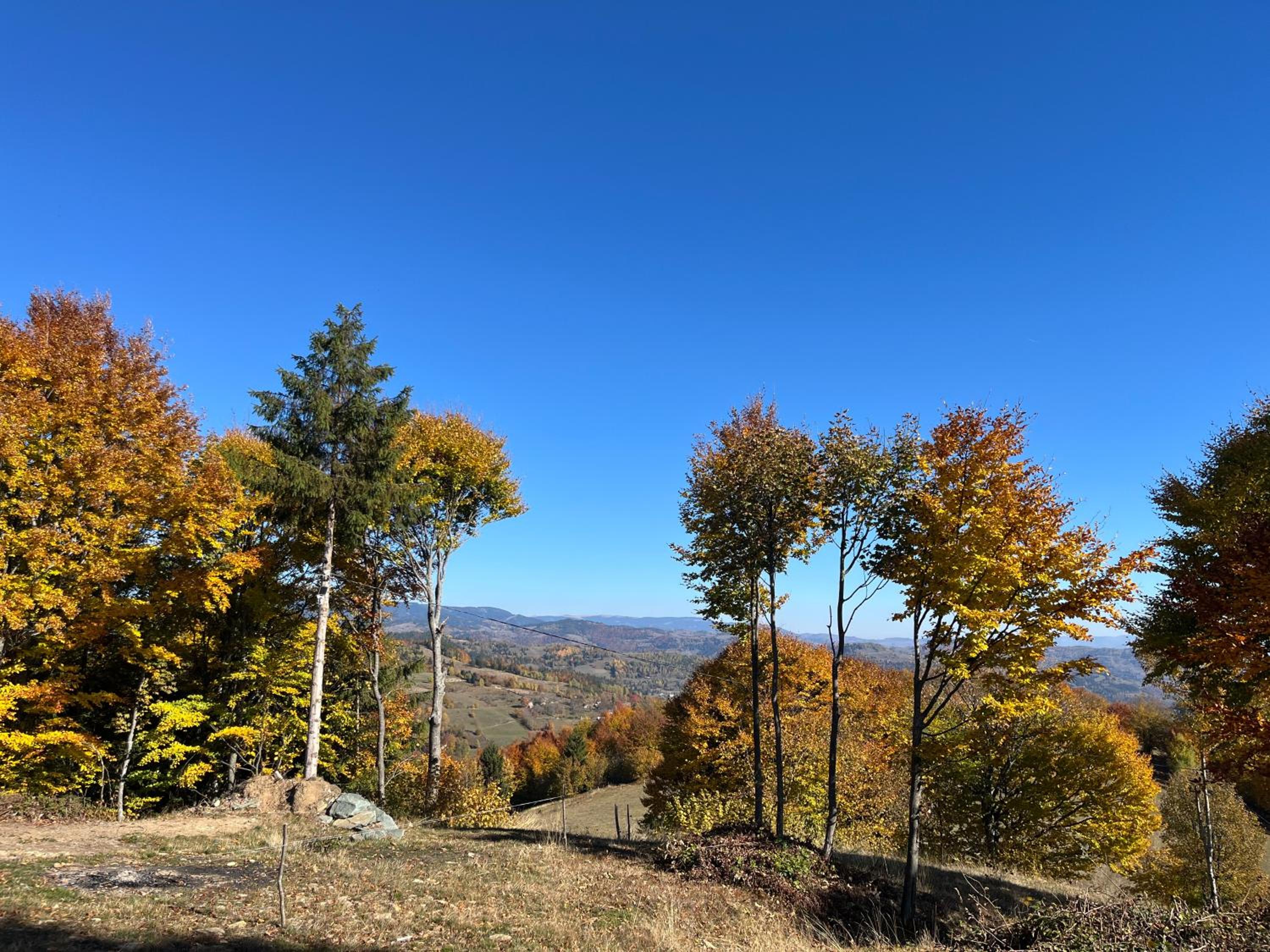 Cabana din deal view 5
