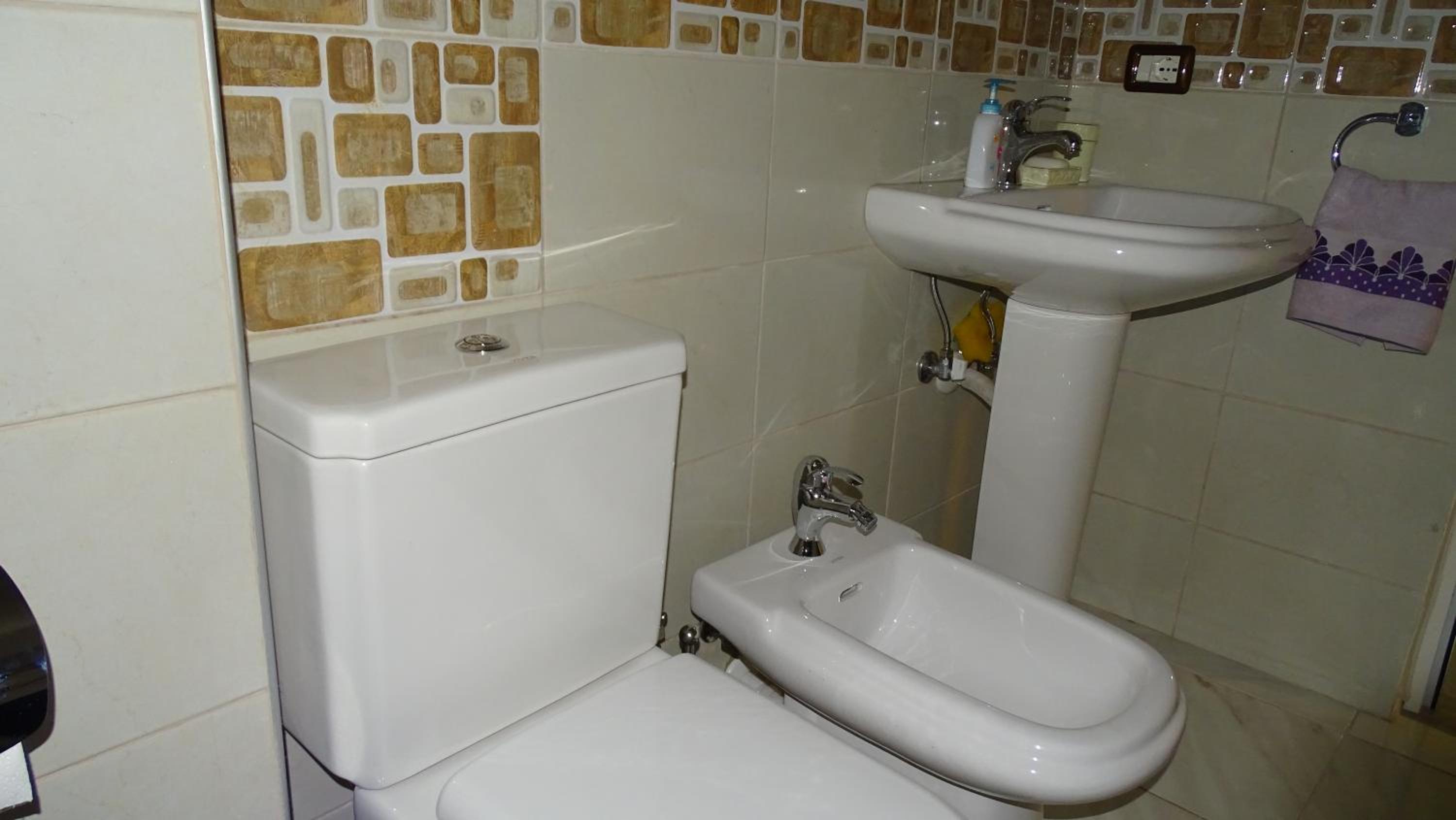Central Apartments Shoshi