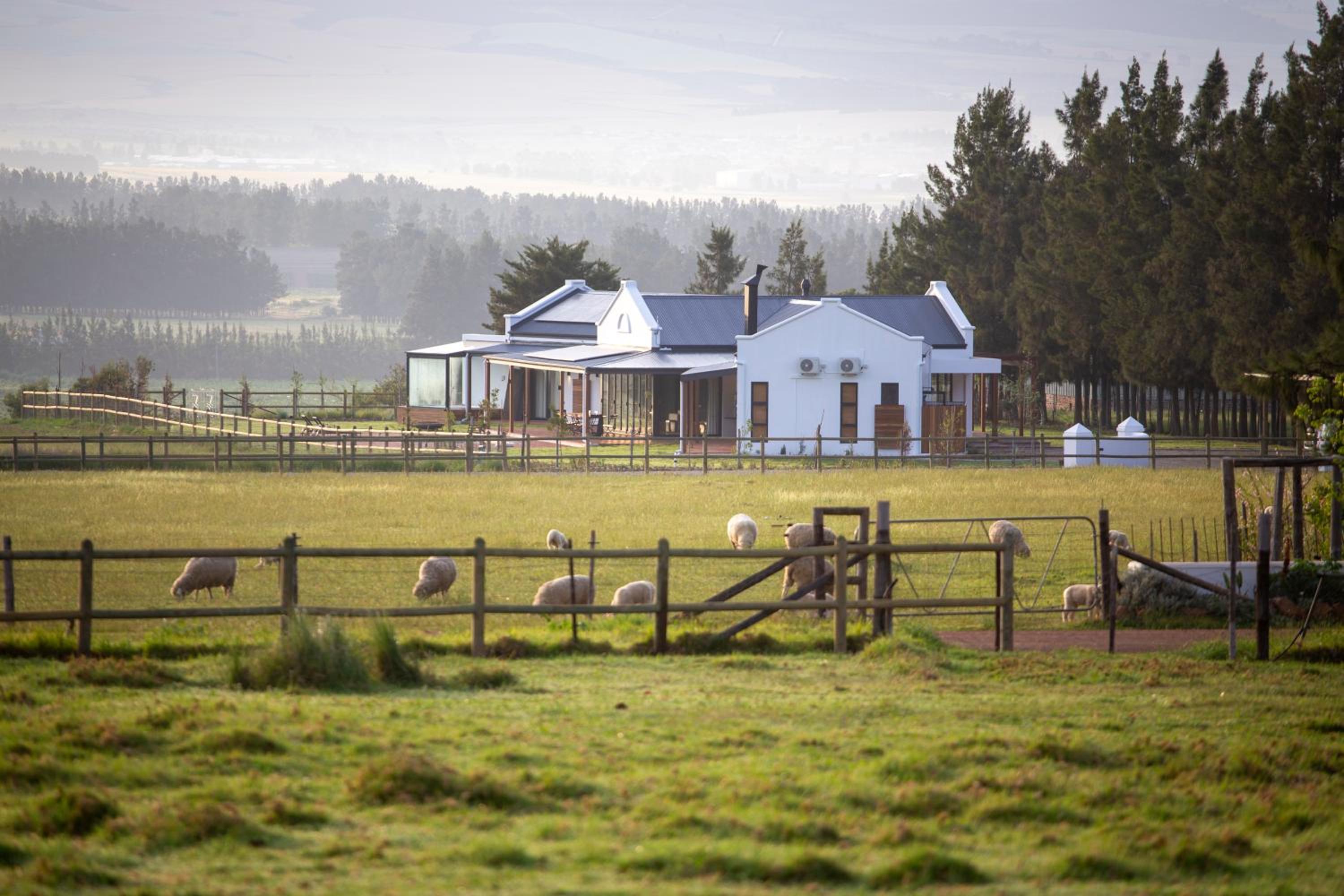 Raptor Rise Farm
