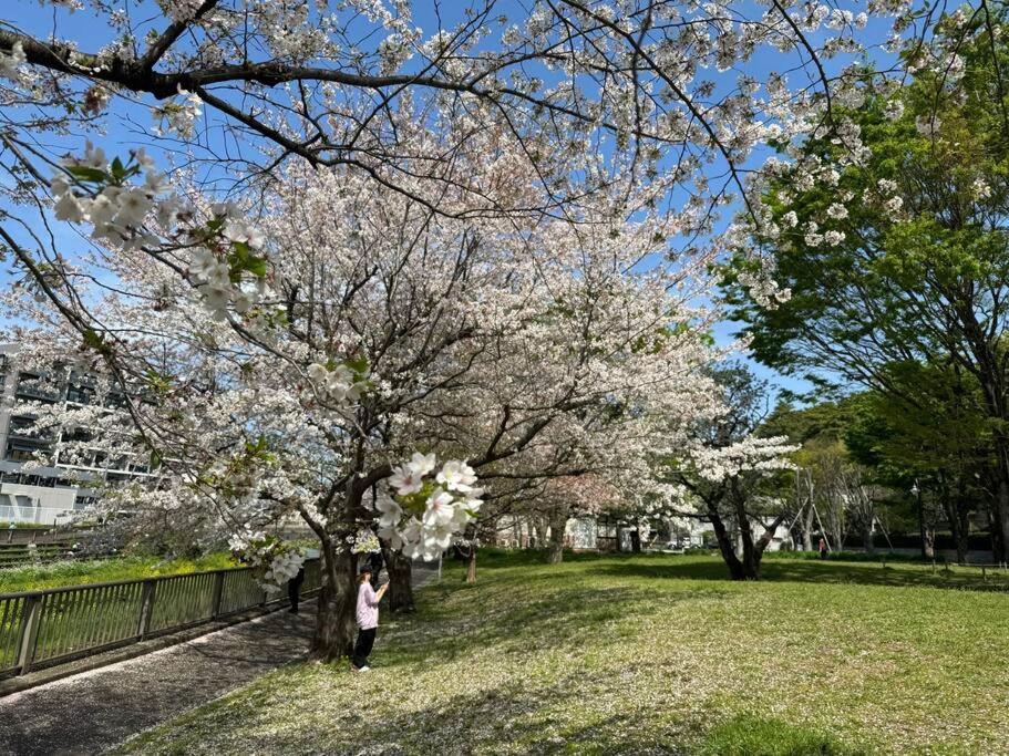 2 min walk from station - 180 sqm - 4 bedrooms - full kitchen - Shibuya Shinjuku - Seijo - Setagaya kids - luxury - traditional