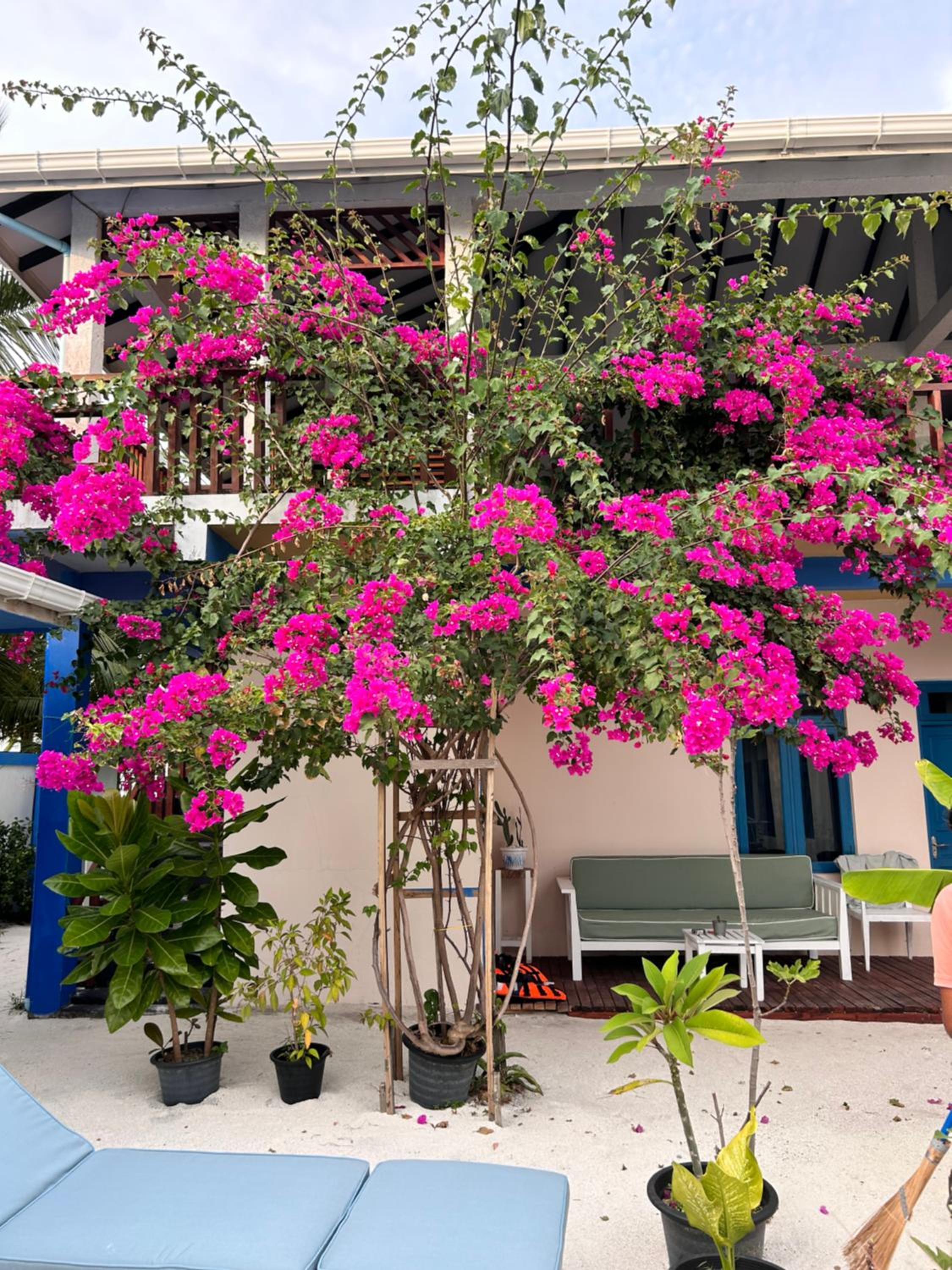 Kendhoo holidays