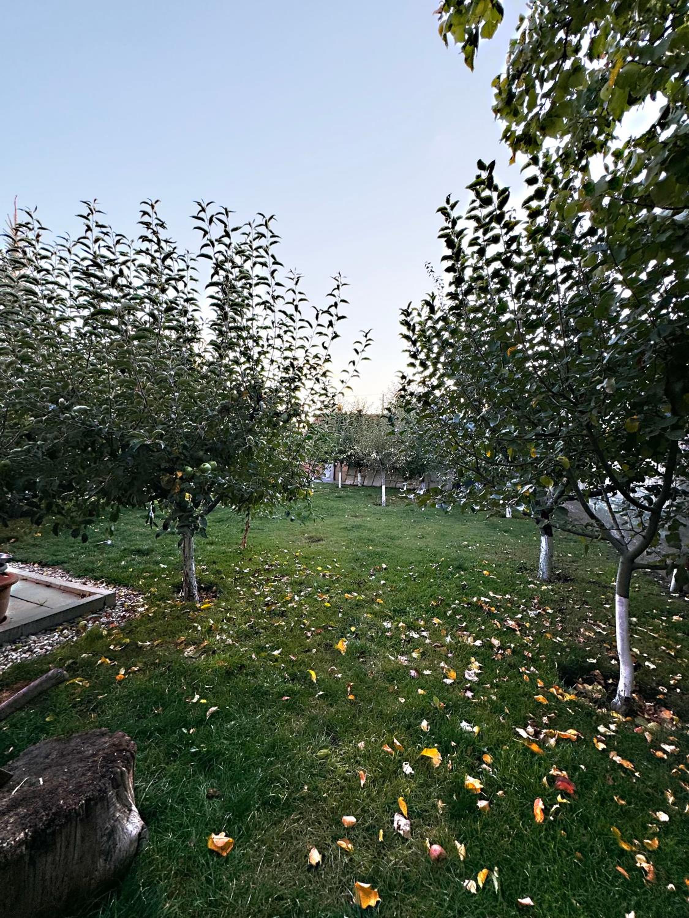 Dzoraghbyur G House