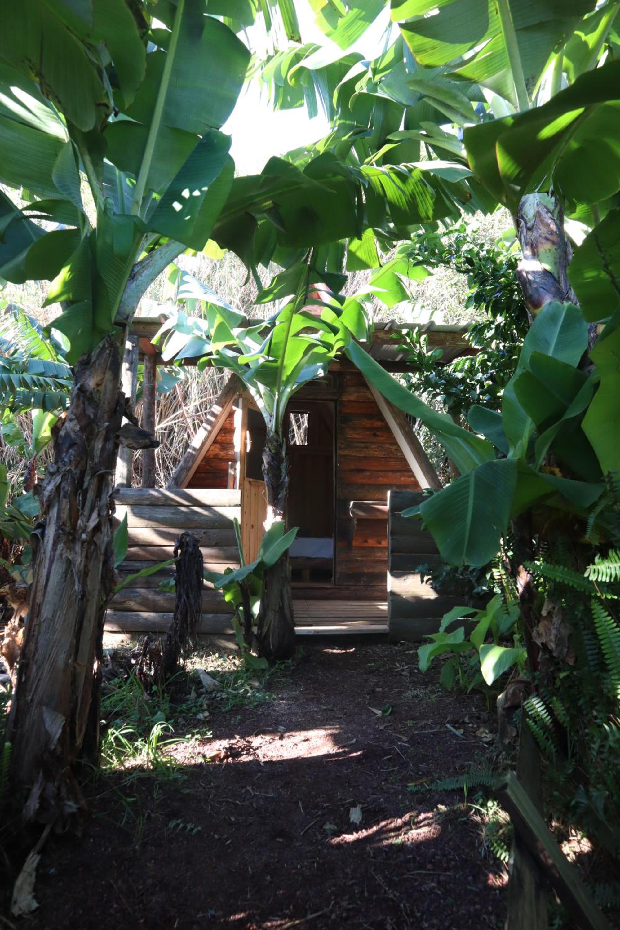 Banana Eco Camp view 3