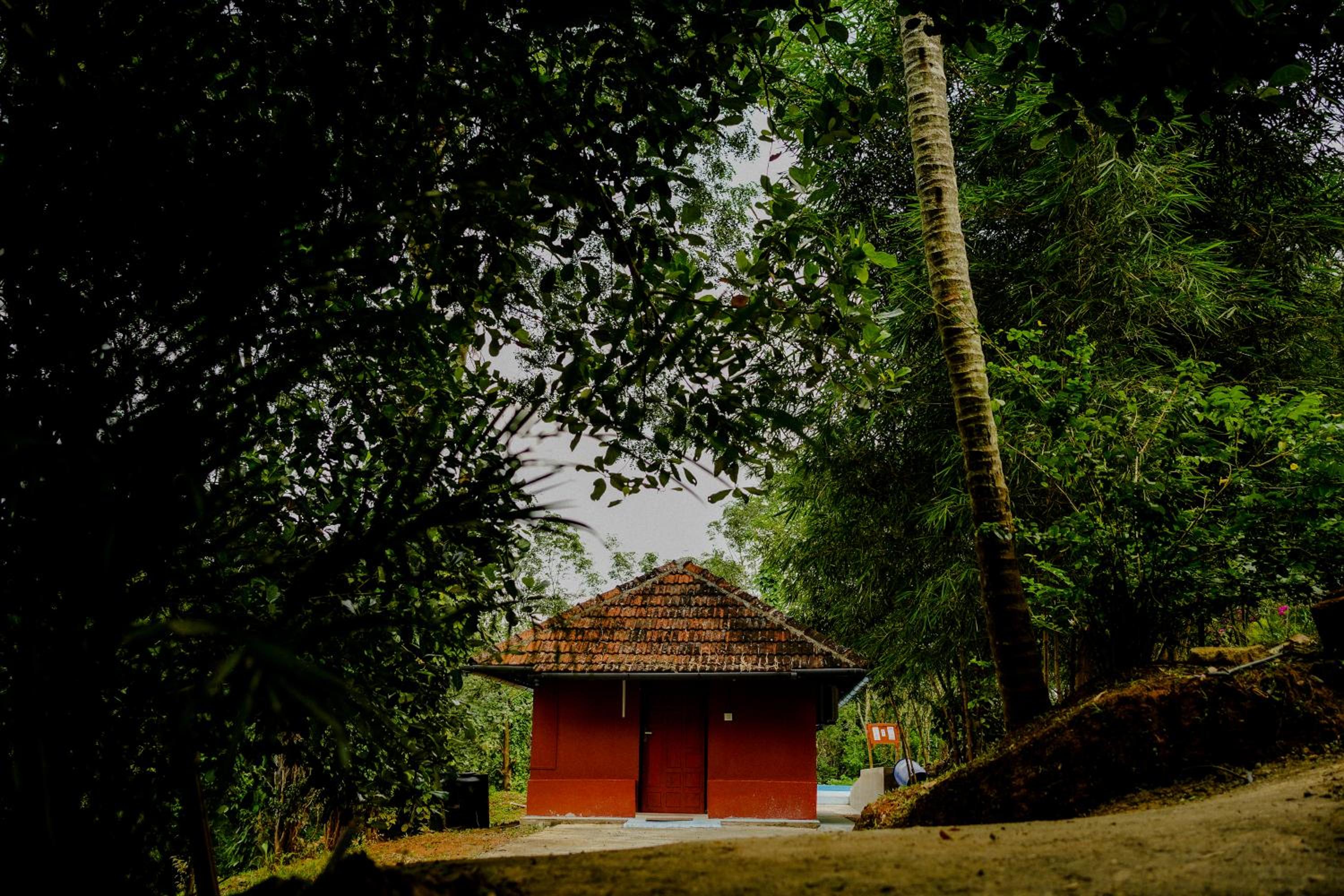 Misty Night Jungle Side Resort view 4