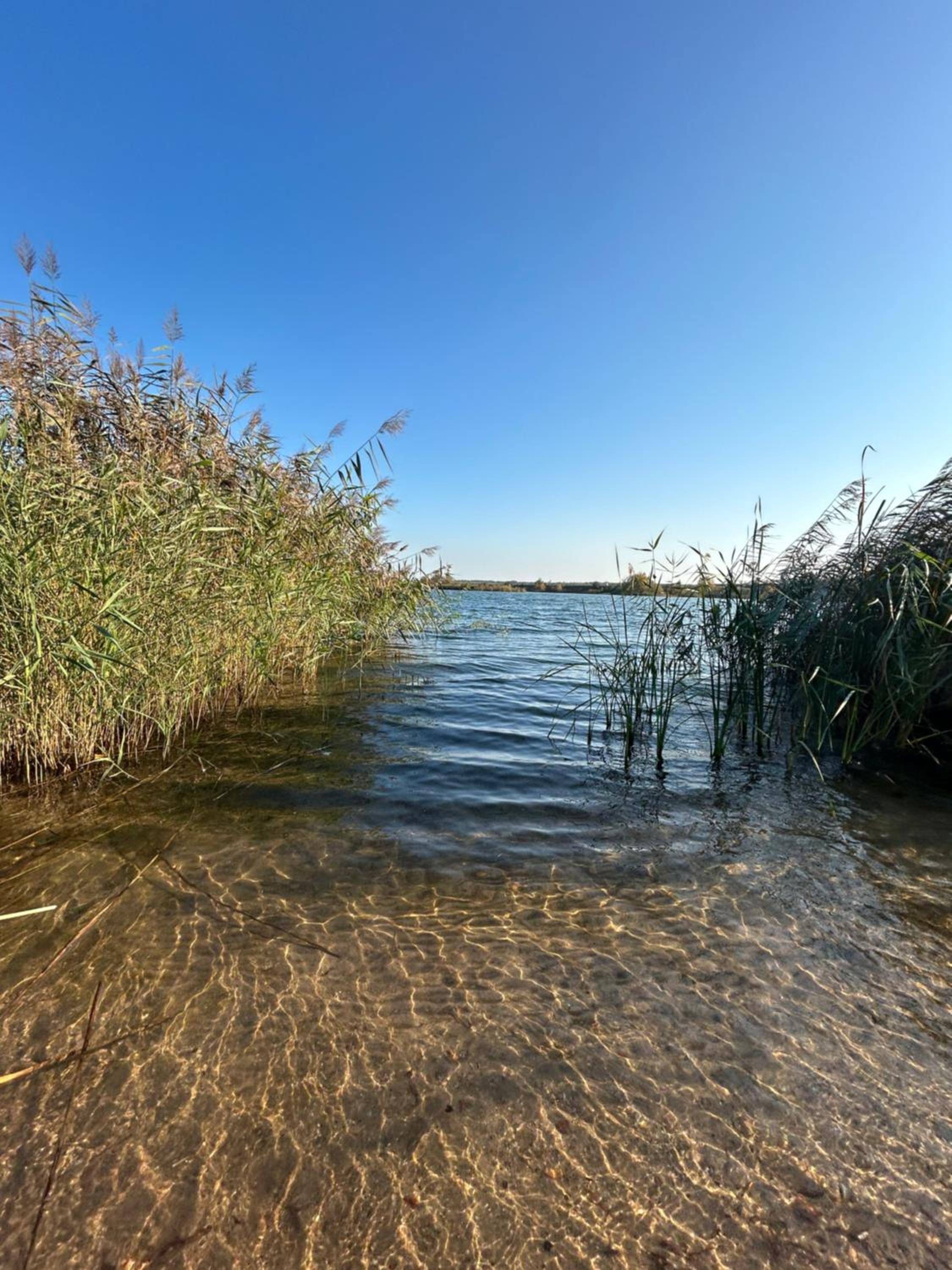 Ferienresort - idyllisches Ferienhaus mit Privatstrand und Sauna in der Nähe von Leipzig #HausJonas