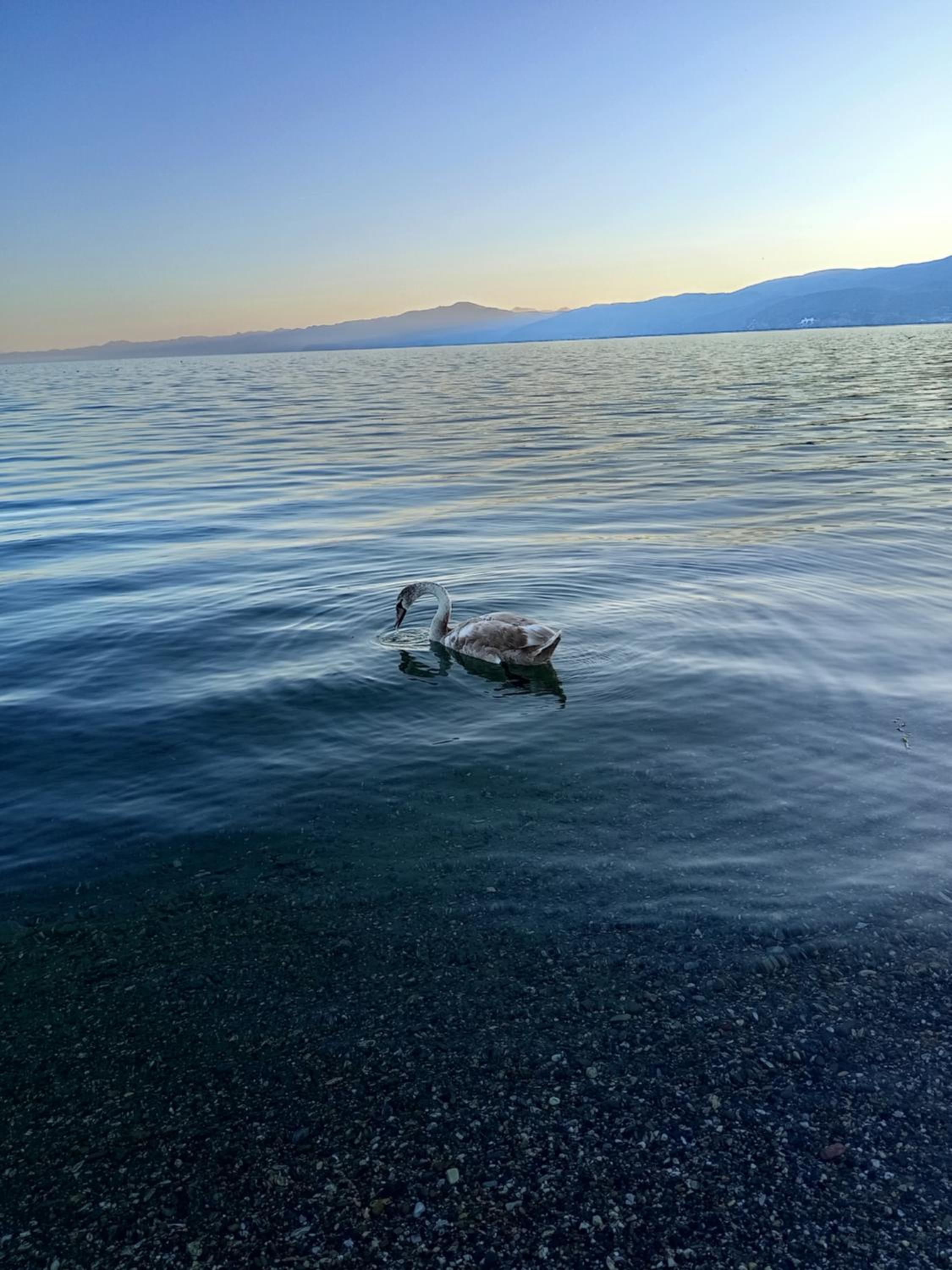 Garden House Apartments Struga