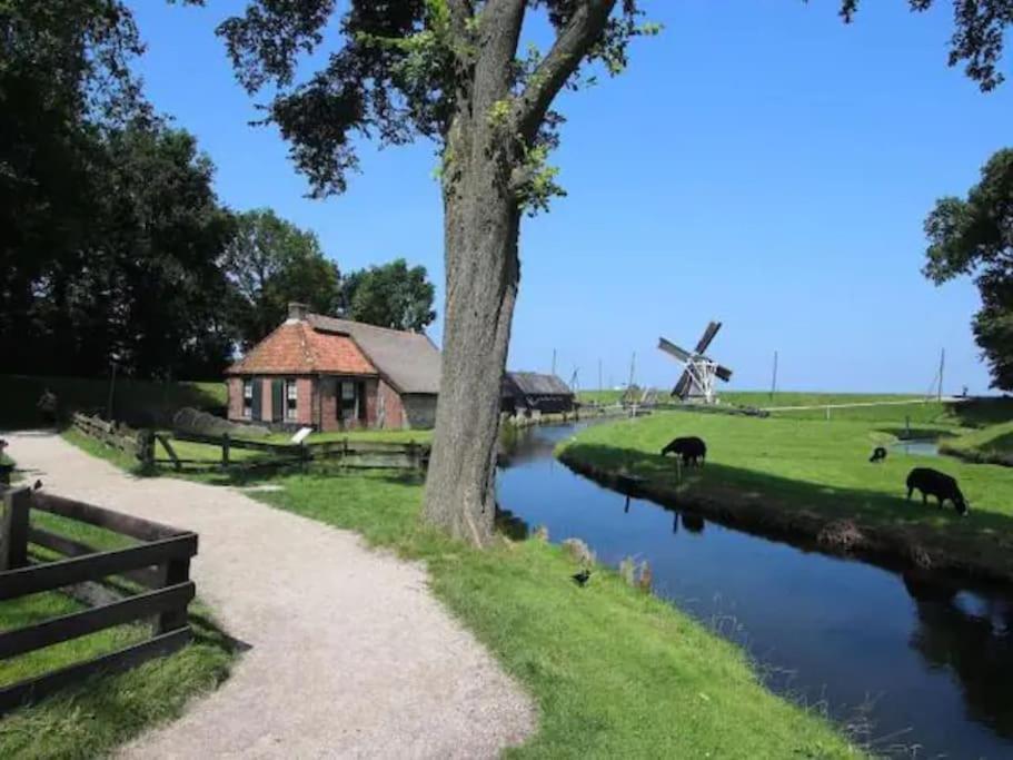 Spacious Nature Escape, house for 6 near Amsterdam & Sea view 2