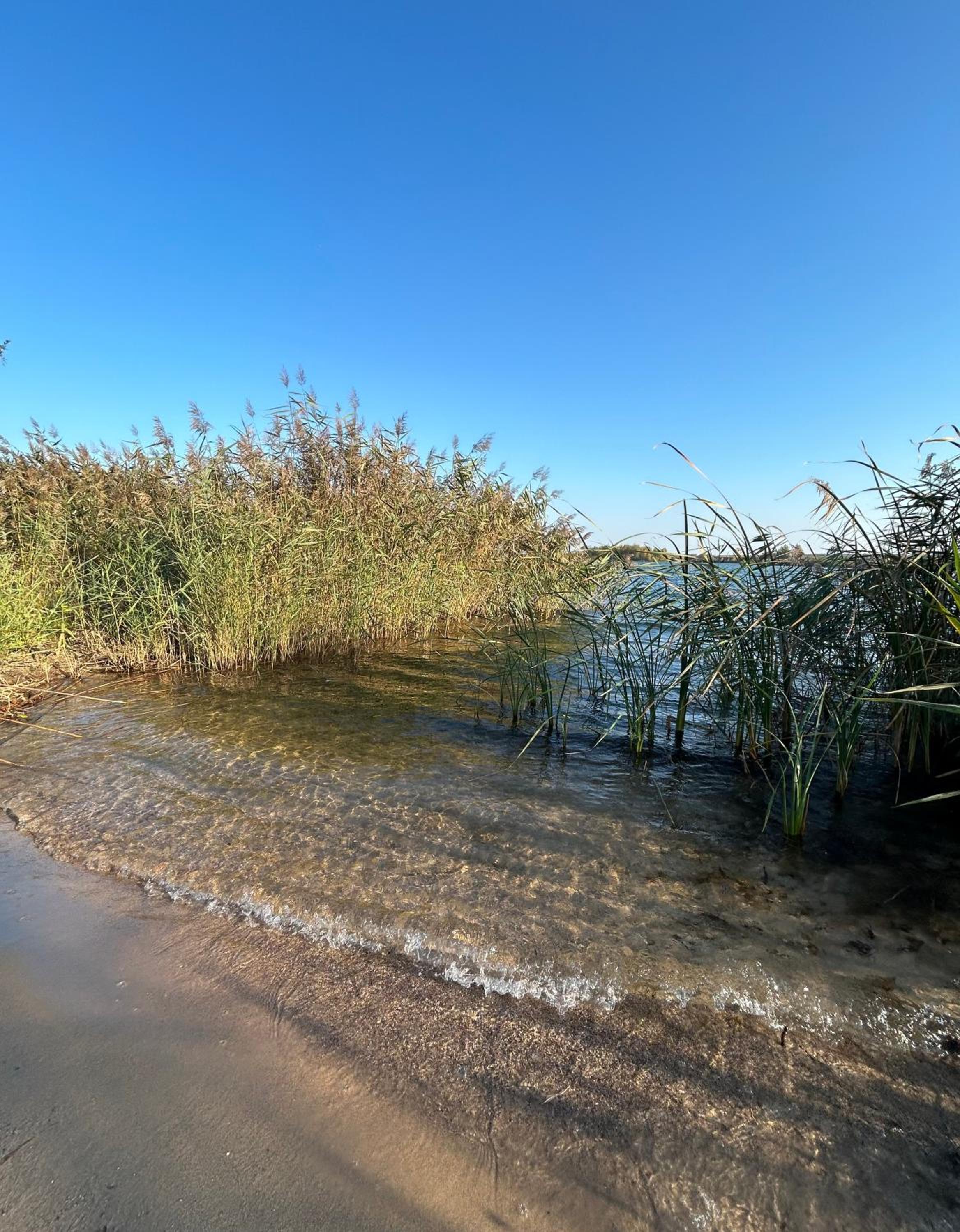 Ferienresort - idyllisches Ferienhaus mit Privatstrand und Sauna in der Nähe von Leipzig #HausEni