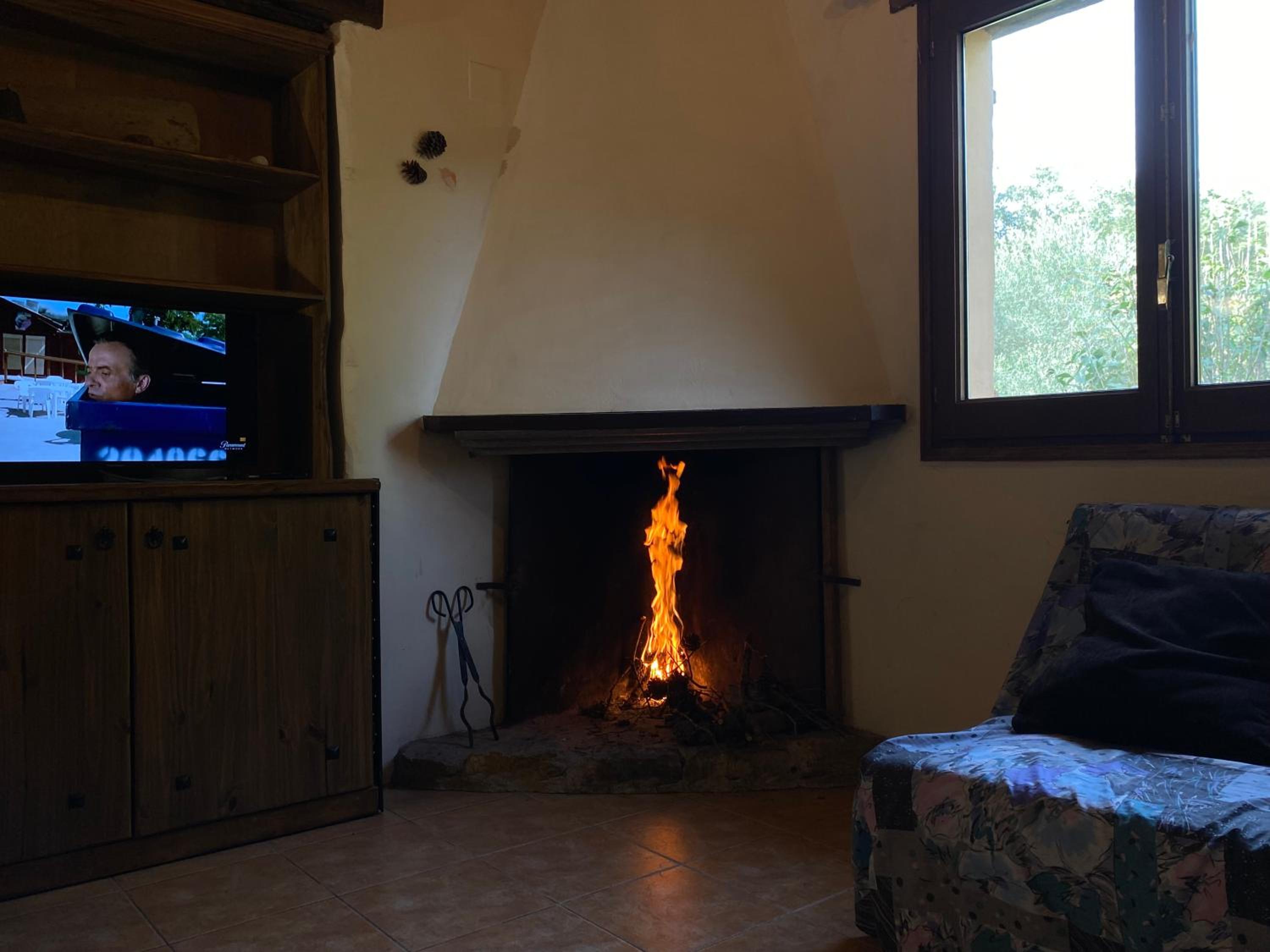 Photo 51