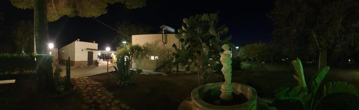 Photo 47