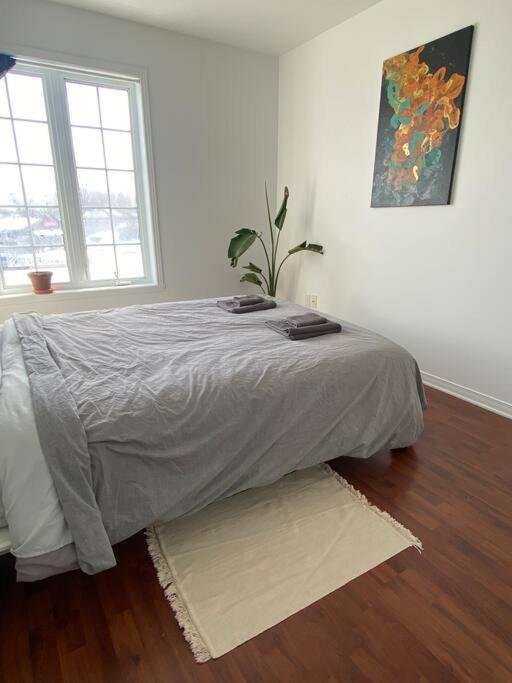 Bright & Cozy Apartment - Park Views, AC & Parking