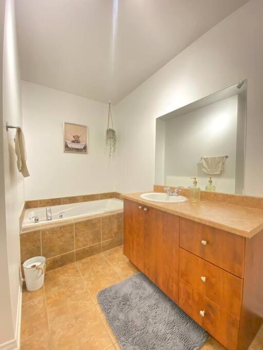 Bright & Cozy Apartment - Park Views, AC & Parking