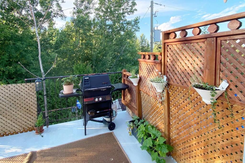 Bright & Cozy Apartment - Park Views, AC & Parking