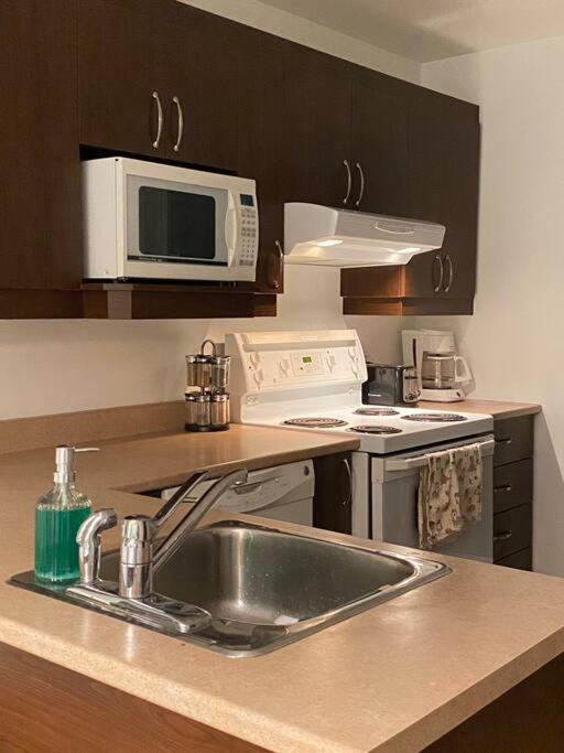 Bright & Cozy Apartment - Park Views, AC & Parking