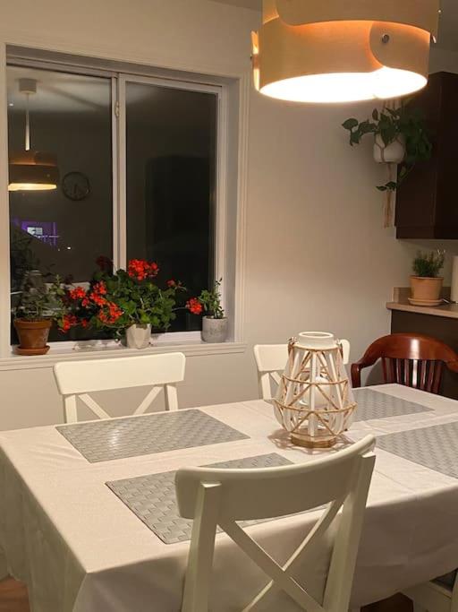 Bright & Cozy Apartment - Park Views, AC & Parking