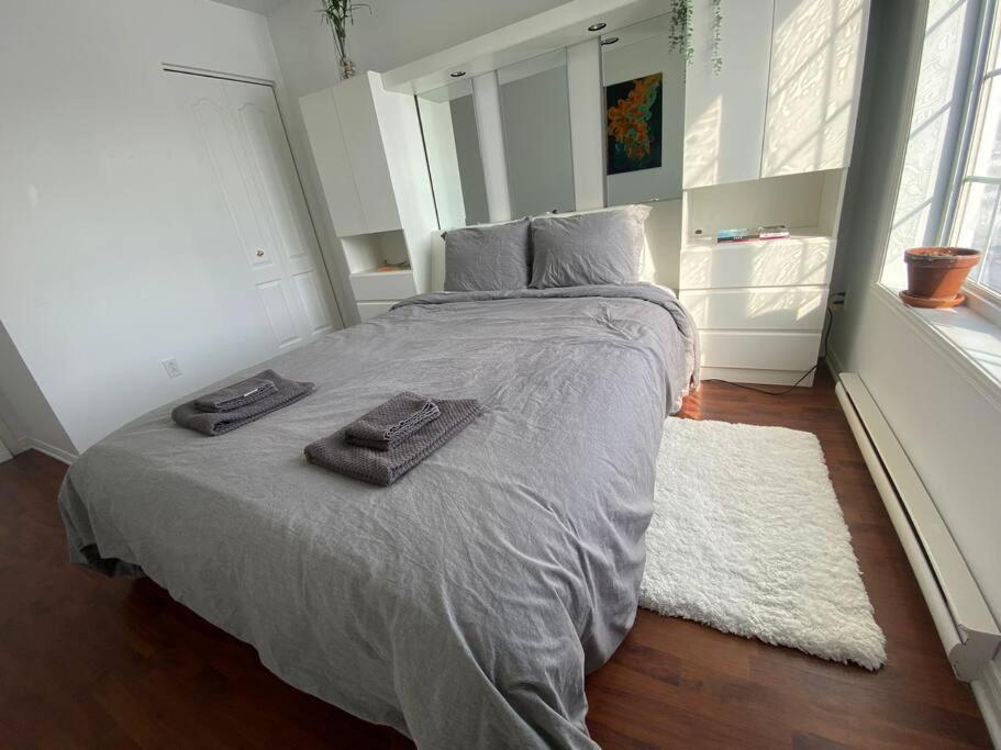 Bright & Cozy Apartment - Park Views, AC & Parking