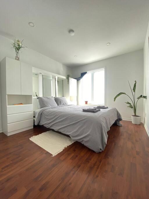 Bright & Cozy Apartment - Park Views, AC & Parking