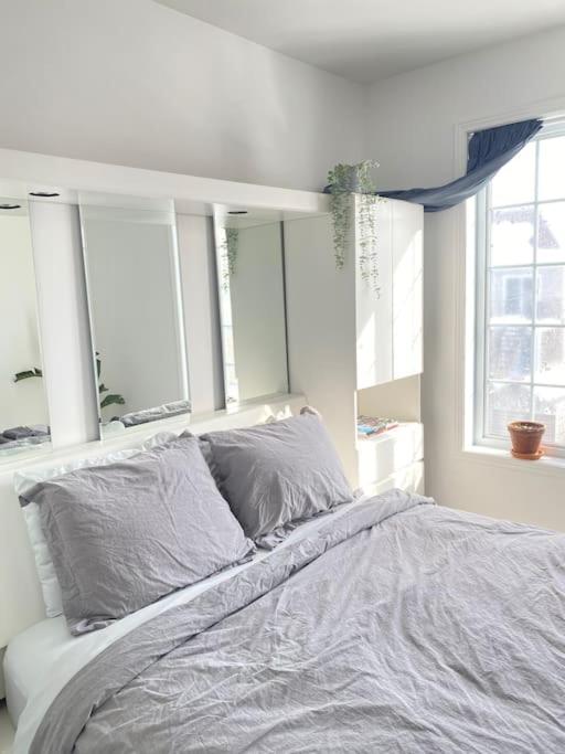 Bright & Cozy Apartment - Park Views, AC & Parking