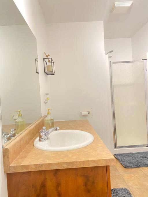 Bright & Cozy Apartment - Park Views, AC & Parking