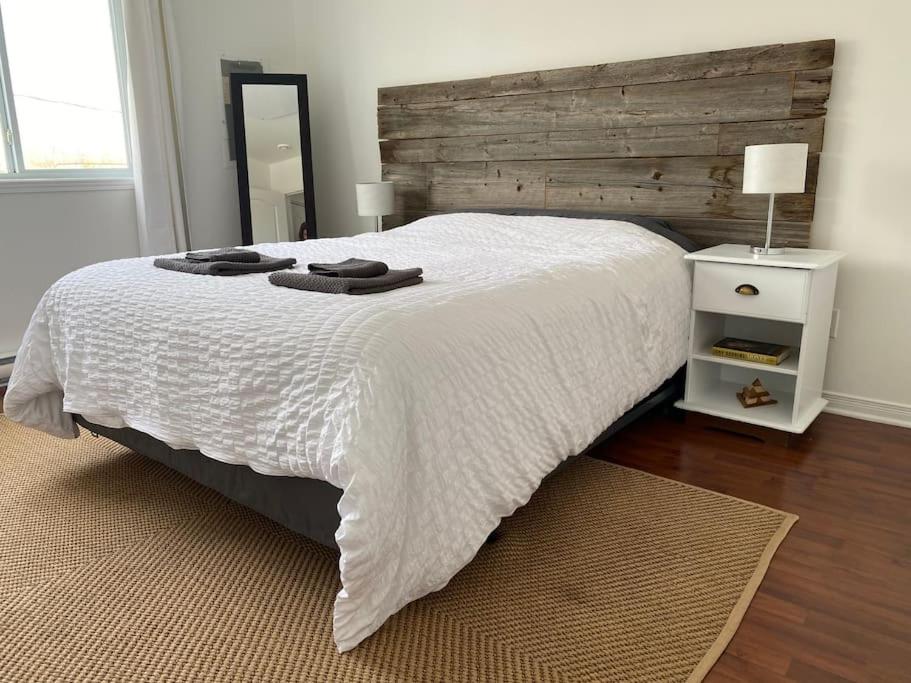 Bright & Cozy Apartment - Park Views, AC & Parking