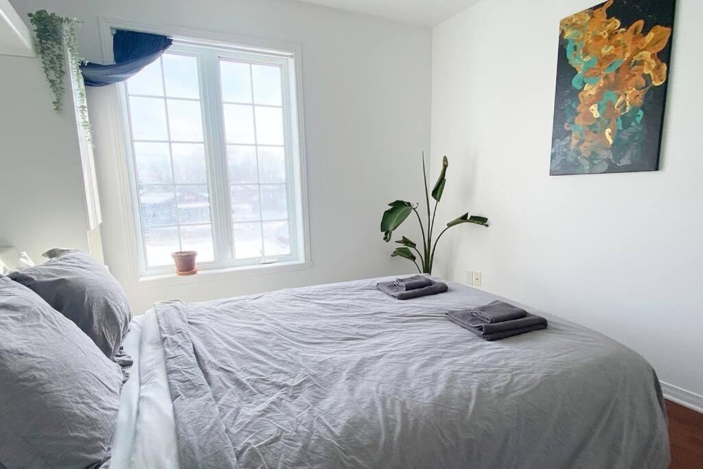 Bright & Cozy Apartment - Park Views, AC & Parking