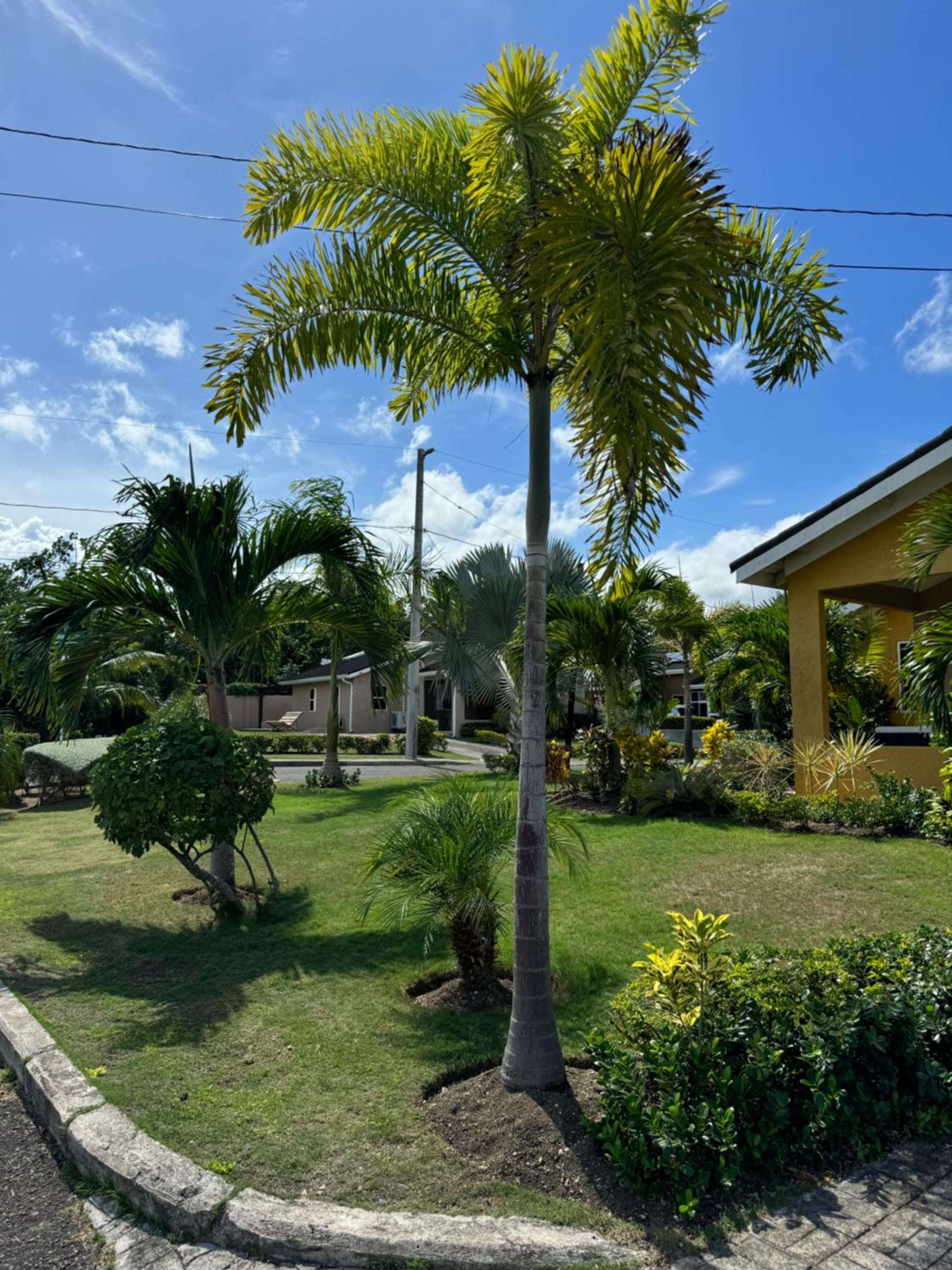 Photo 28