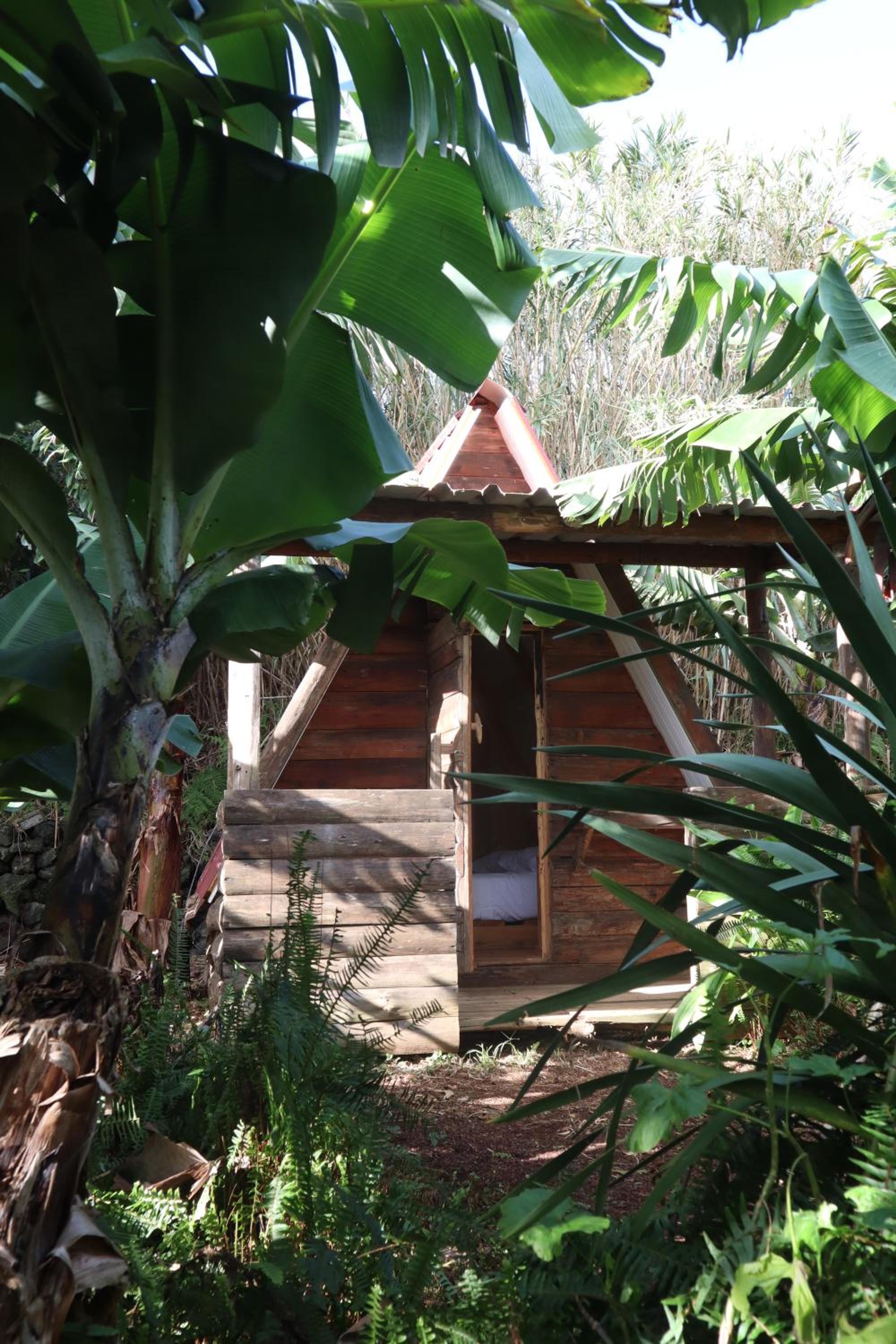 Banana Eco Camp view 4