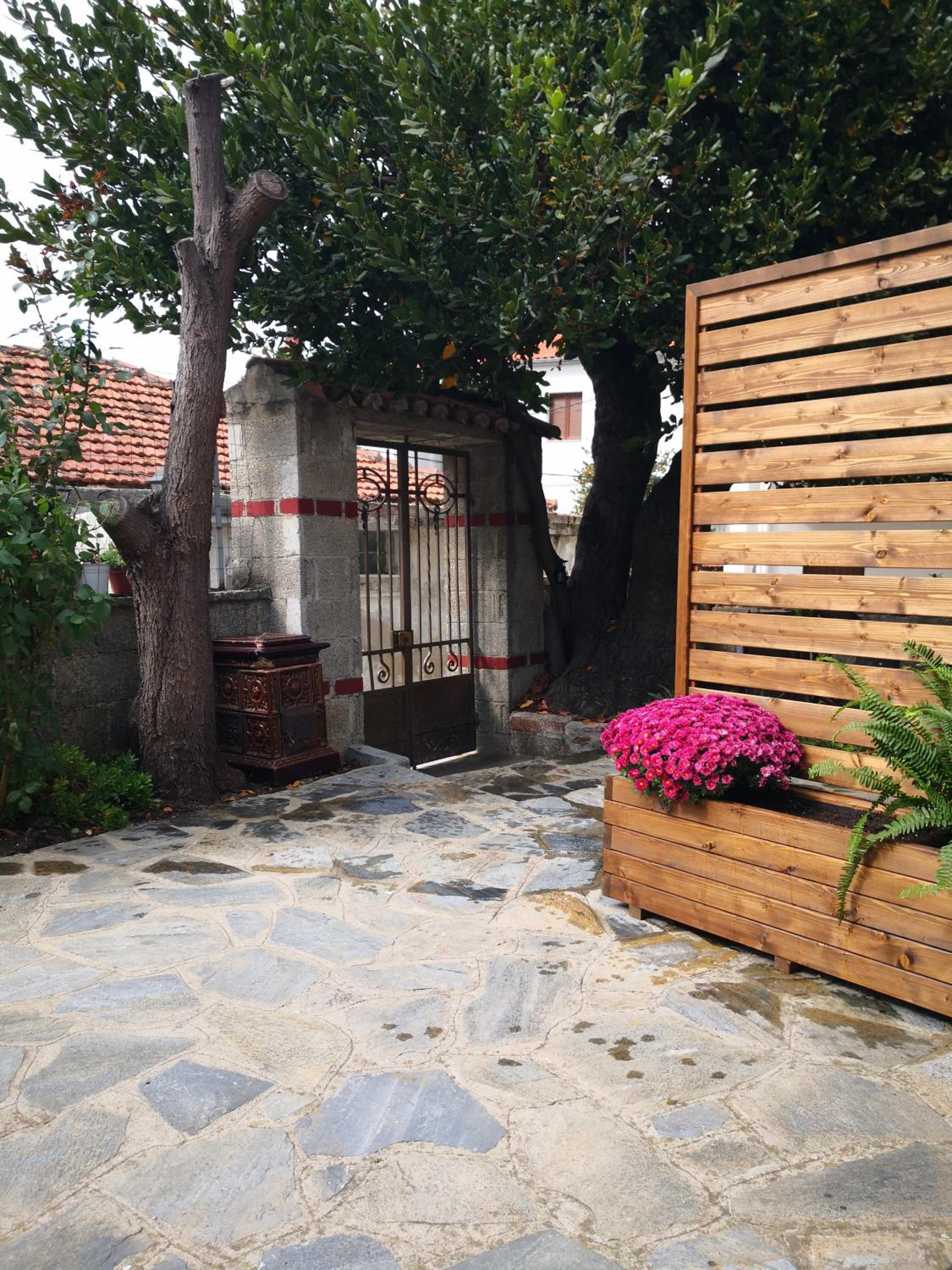 Photo 26