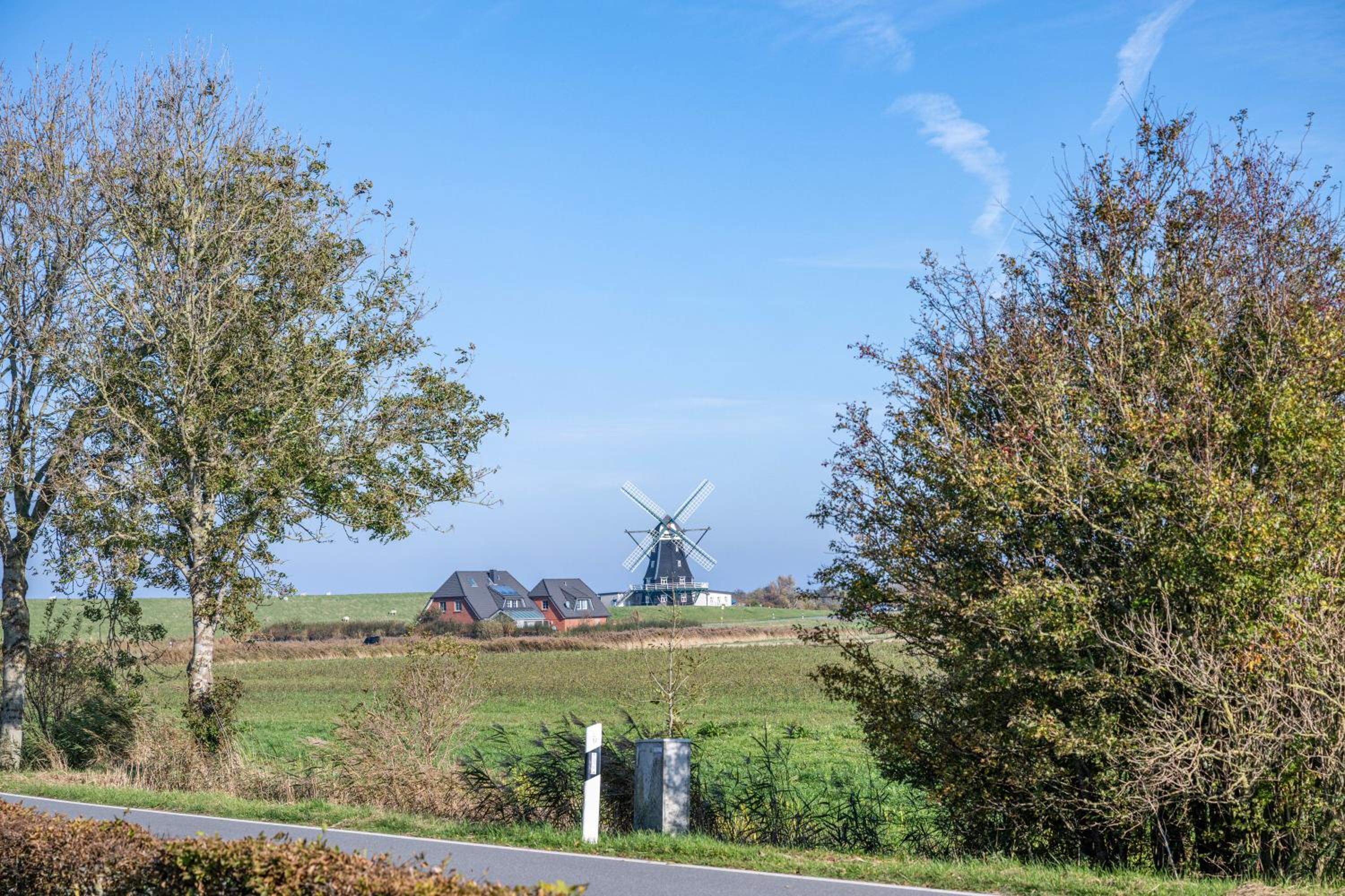 Fewo Panoramablick