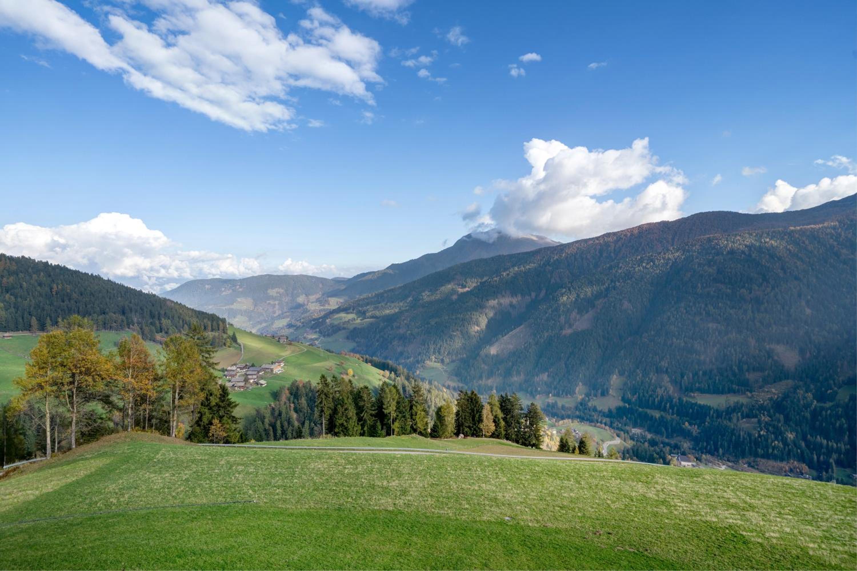Oberhaushof