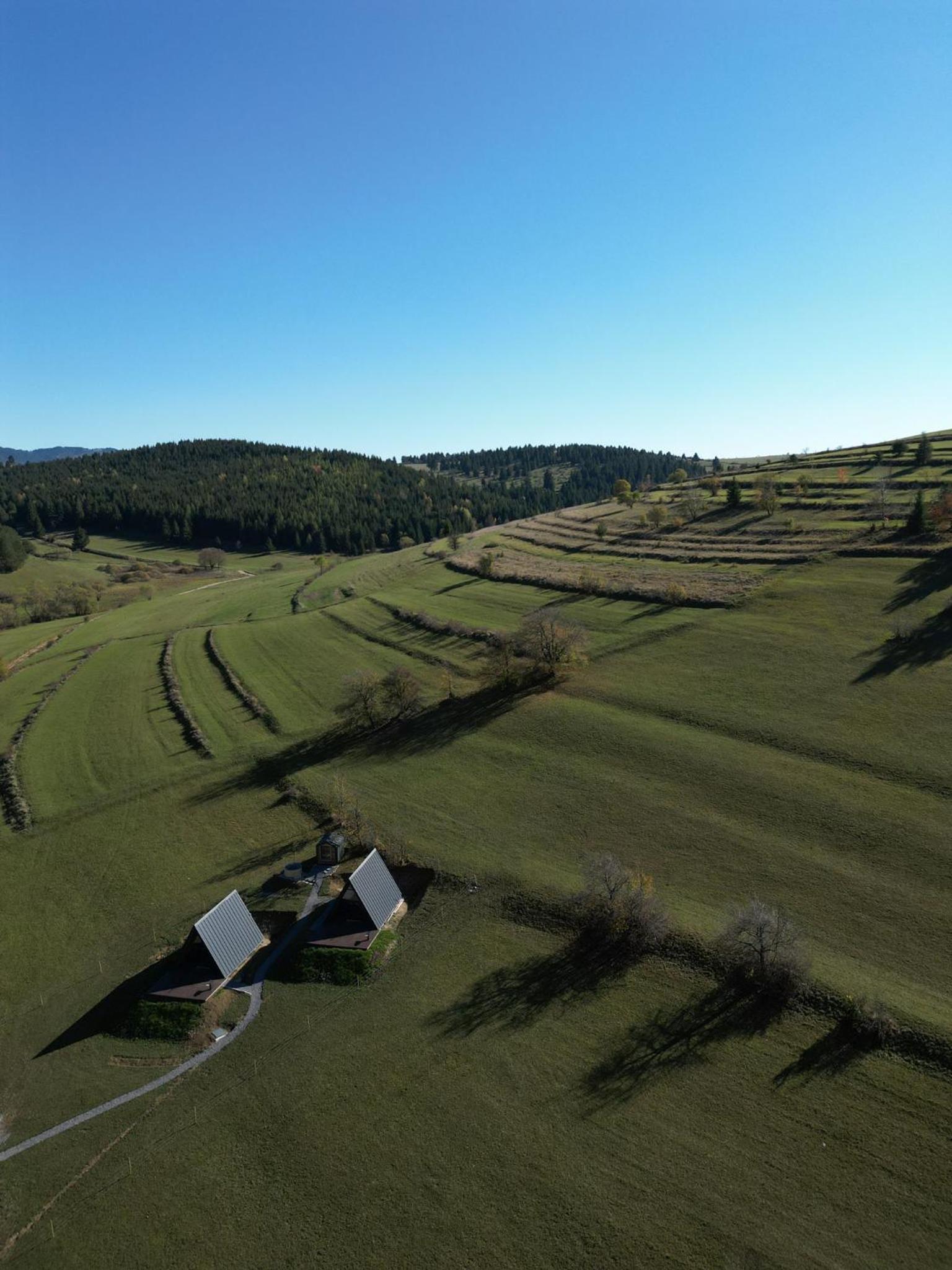 Holiday Cabins