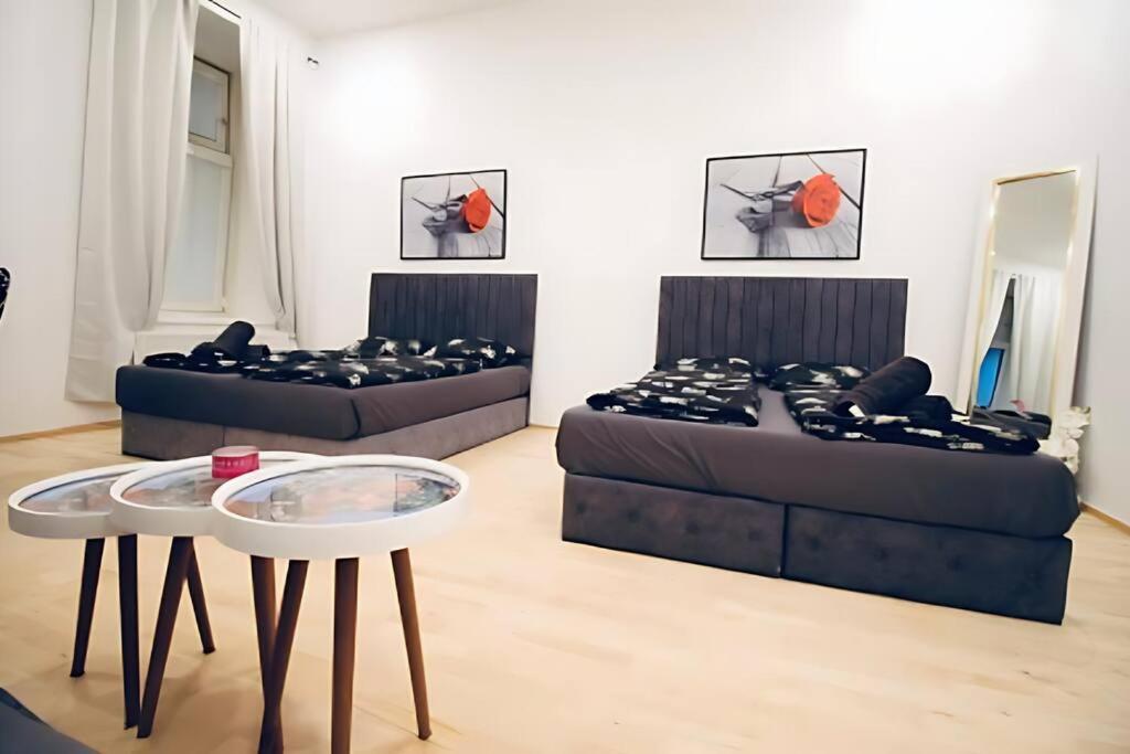 Lovely 2BR Apt With Modern Amenities Near Augarten